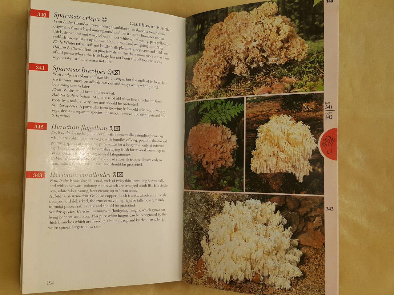 تشخیص قارچهای سمی از خوراکی، تشخیص قارچ های خوراکی از سمی