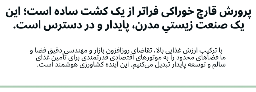 پرورش قارچ خوراکی