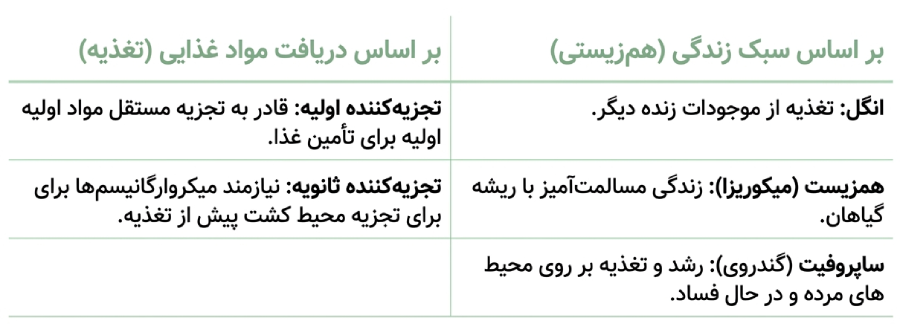 طبقه بندی ساختاری قارچ ها