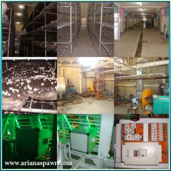 کمپوست قارچ