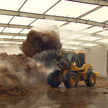 کمپوست قارچ