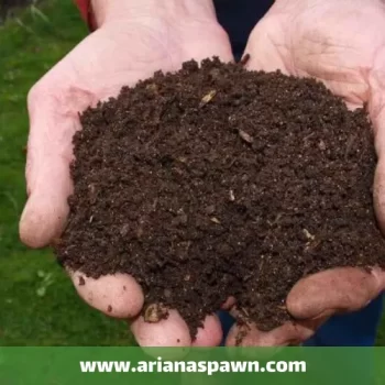 خاک پوششی قارچ