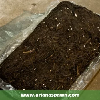 خاک پوششی چیست