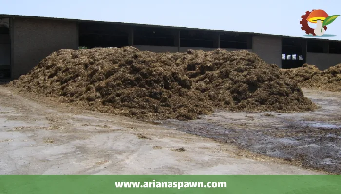 مکان کمپوست سازی