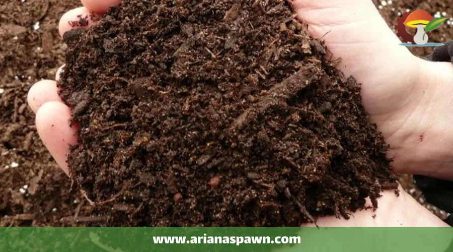 کمپوست سازی