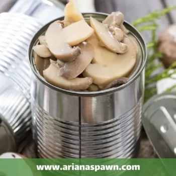 کنسرو کردن قارچ خوراکی