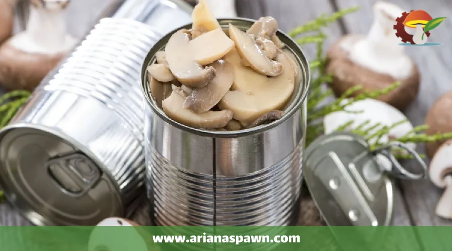 کنسرو کردن قارچ خوراکی