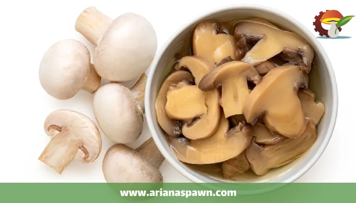 کنسرو کردن قارچ سالم