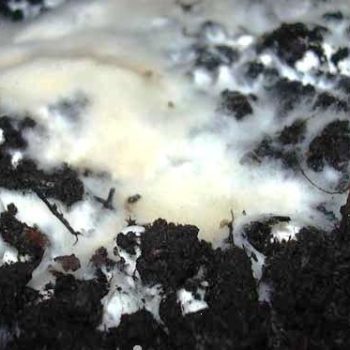 9a27562e abbb 4603 9592 b2ee880f84f3