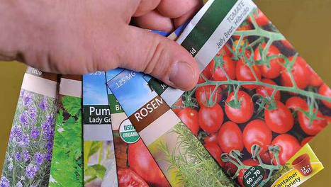 انواع قارچهای خوراکی