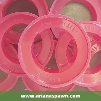 درب کیسه های قارچ