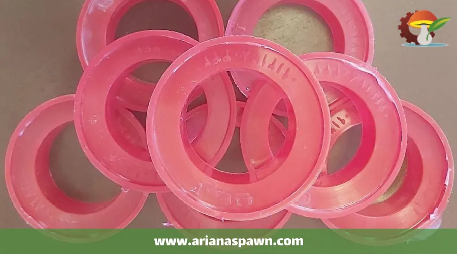 درب کیسه های قارچ